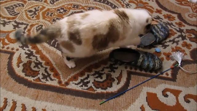 Любимые тапочки Алисы смотреть онлайн