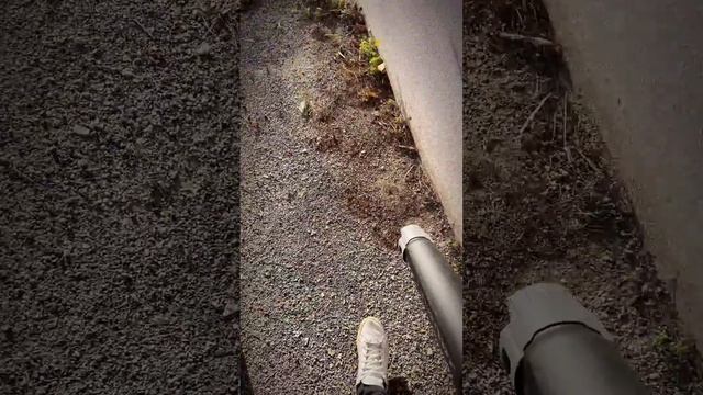 Présentation souffleur DEWALT DCMBL562 смотреть онлайн