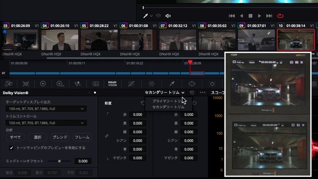 DaVinci Resolve 17 テーマ別解説 | Dolby Vision