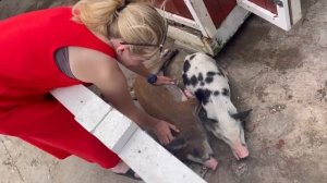 ВЛОГ Едем в Крым ВДВОЁМ ! Обзор номера и отеля в котором мы остановились RIGA Village Resort !