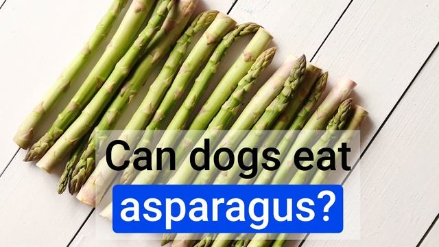 Can Dogs Eat Apples, Bananas, Watermelon, Carrots, Grapes? The Definitive Guide to What Dogs Can Ea смотреть онлайн