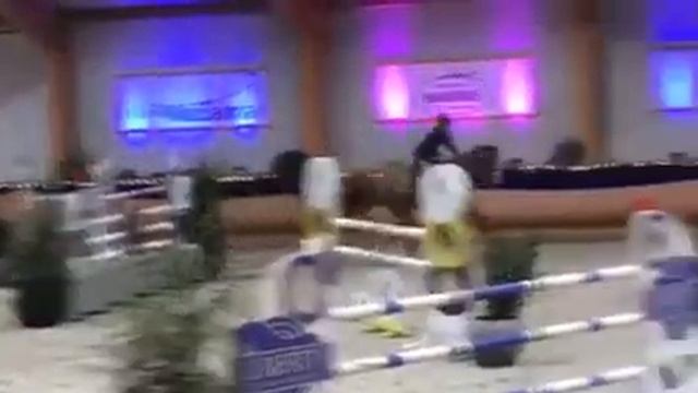 Giwana 3th at CSI Peelbergen youngster class смотреть онлайн