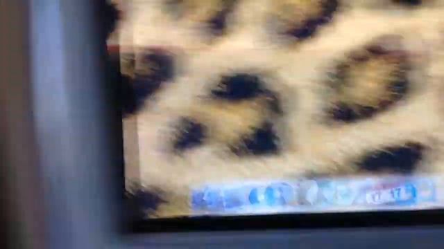 iMac G3 WiFi смотреть онлайн