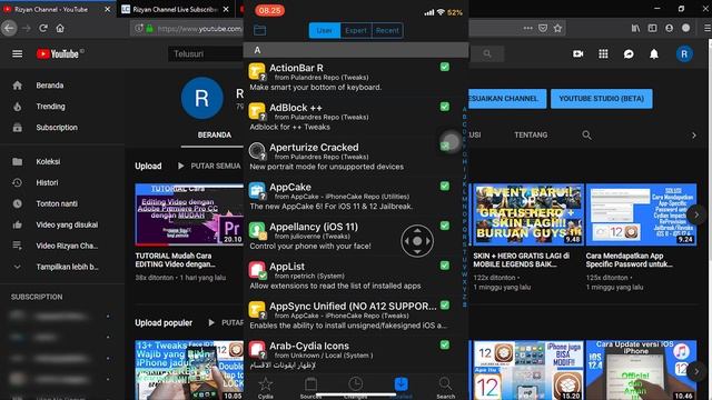 Cara Aman dan Mudah Backup & Restore Tweaks dan Repo di Cydia iOS 11 - 12.4!! смотреть онлайн