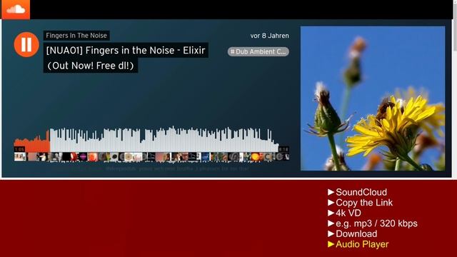 Download music from SoundCloud with 4K Video Downloader смотреть онлайн