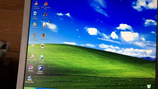 Windows XP startup смотреть онлайн