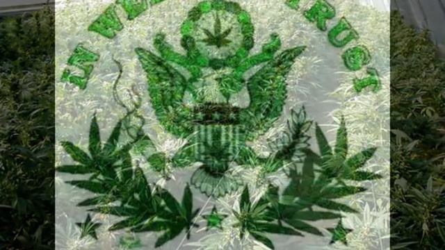 GANJA By Meet Me At The Pub.WMV смотреть онлайн