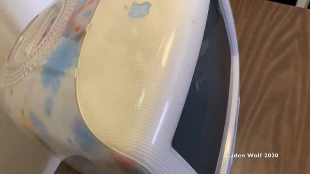 Apple iMac G3 Flower Power Unboxing (500MHz) смотреть онлайн