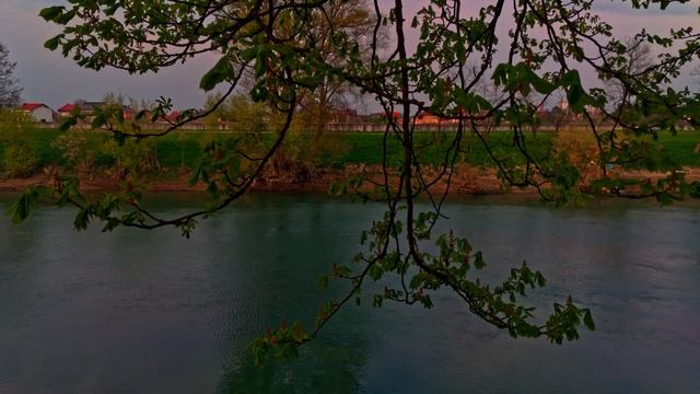 River Kupa | Oppo Find X2 Pro | Motion Cam App | Raw Dng Video смотреть онлайн