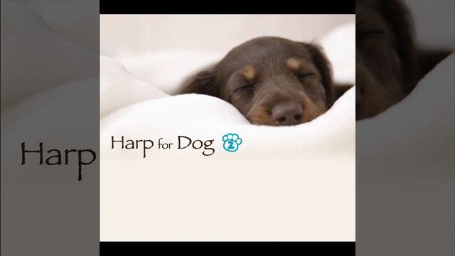 Variations on a theme by Mozart смотреть онлайн