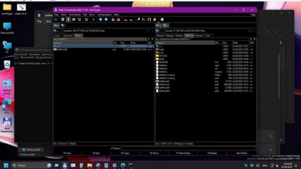 Total Commander on Windows 11 using Mica