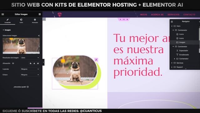 Elementor Hosting: el mejor hosting para construir con Elementor PRO 2024 смотреть онлайн