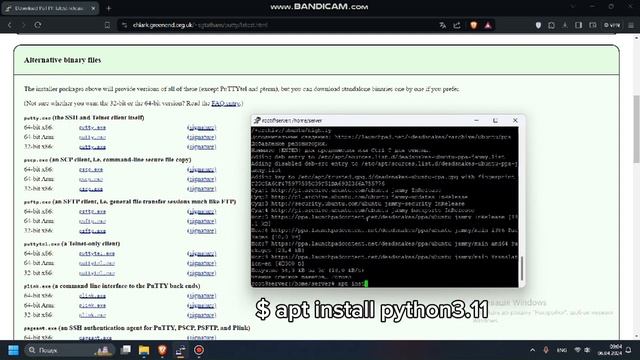 ☠️ УСТАНОВКА PYTHON НА UBUNTU 22.04 ☠️ смотреть онлайн