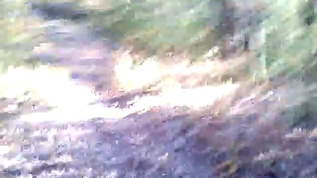 Extreme barrel roll смотреть онлайн