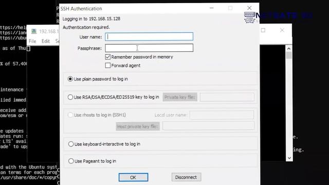 How to Install EVE-NG on Windows and loading MikroTik images(CHR) on EVE-NG || EVE-NG || NetGate BD смотреть онлайн