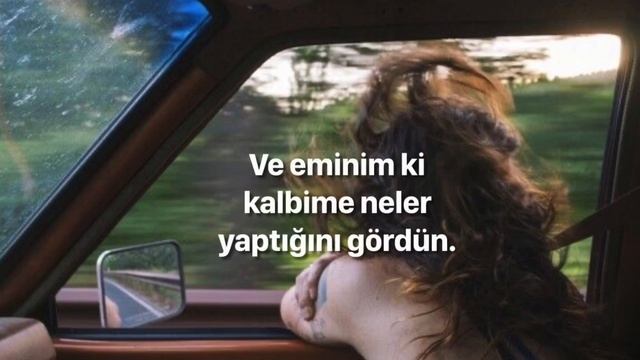 Goodbye,My Danish Sweetheart-Mitski (türkçe çeviri) смотреть онлайн