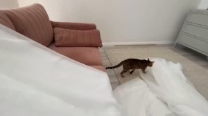 ВЛОГ Мои покупки в Валдберис и НАШИ ВЫХОДНЫЕ ! Леша наводит порядок во дворе, а я ОТДЫХАЮ !