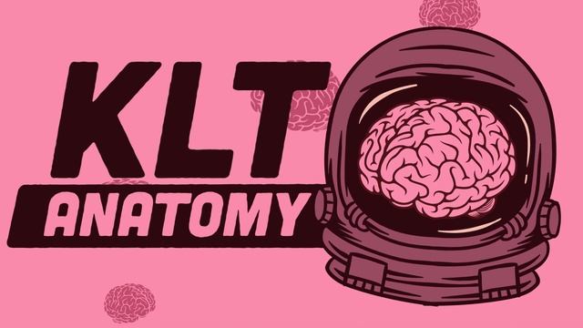 Your Gallbladder Stores BILE! | The Gall Bladder Song | KLT Anatomy смотреть онлайн