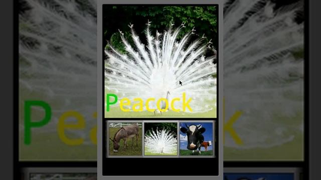 Animal Sounds Android APP смотреть онлайн