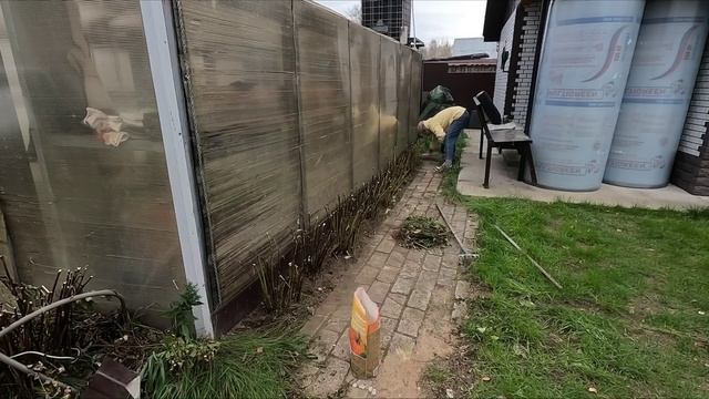 Прибрала пионы перед зимой.Мамуля удивляет. смотреть онлайн