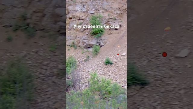 Учу стрелять Бекаса смотреть онлайн