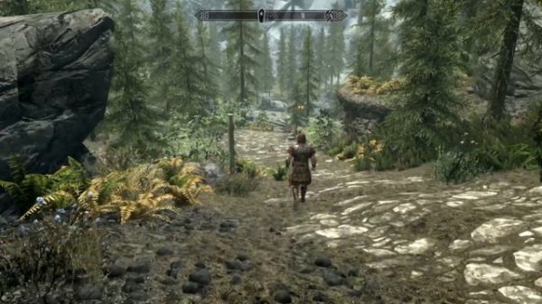 Playing Skyrim SE On Base Model Macbook Air M1