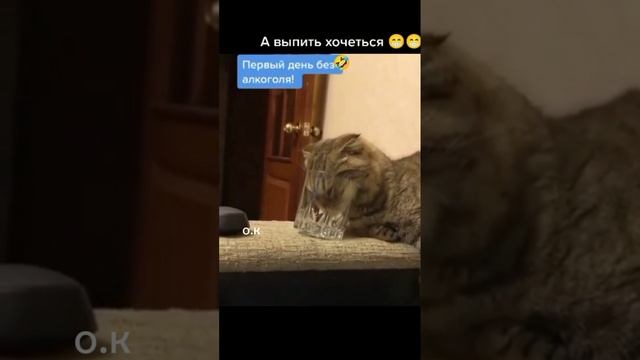 #Медитация .Кодирование от алкоголизма💯👍 смотреть онлайн