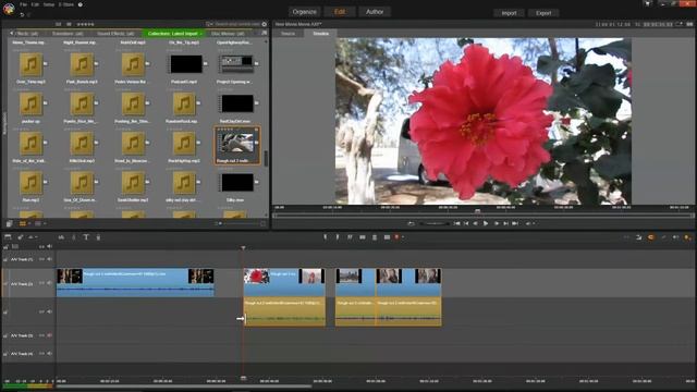 Pinnacle Studio 18 Removing /Separating Audio from Video смотреть онлайн
