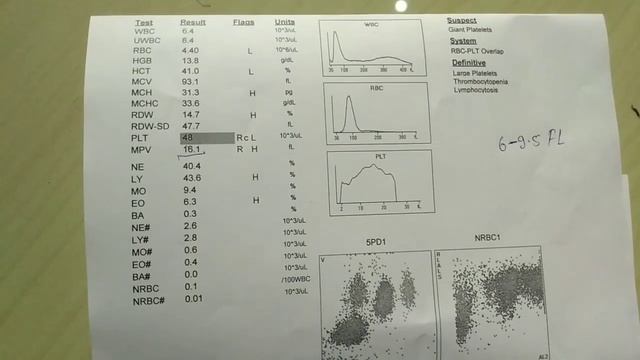 MPV Blood Test | What Is MPV In Blood | MPV Full Form