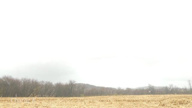 Funnel Cloud UP CLOSE (11/5/22 WI Severe Weather) смотреть онлайн