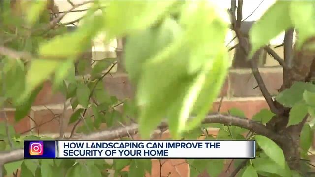 Your landscaping can help protect your home or serve as cover for thieves смотреть онлайн