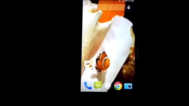 Clownfish 3D Free Live Wallpaper смотреть онлайн
