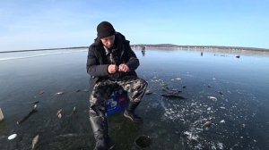 Рыбалка по первому льду, ловля окуня зимой.
