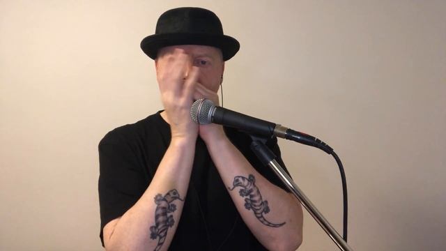Albatross - Harmonica - Peter Green/Fleetwood Mac cover смотреть онлайн