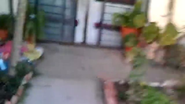 San nocolas de ibarra y sus borrachos смотреть онлайн
