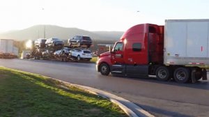 Неужели Мне Порезали Штору