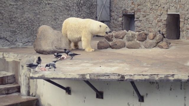 One day of my life...ПИТЕРбург смотреть онлайн