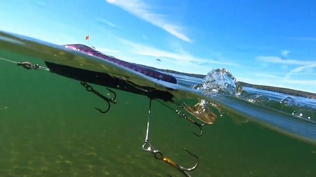 The BEST MUSKY FLAPTAIL BAITS on the market today!!! Underwater footage! смотреть онлайн