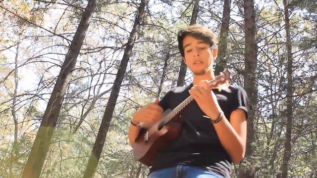 Ode To Viceroy - Mac DeMarco (Ukulele cover) смотреть онлайн