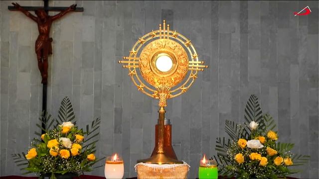 LIVE ADORATION | 30 Holy Mins - 17 August 2021 смотреть онлайн