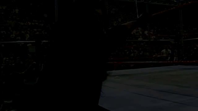 The Undertaker: The Complete 90s Collection