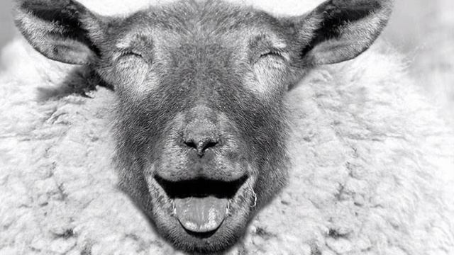 Мирон Иванов