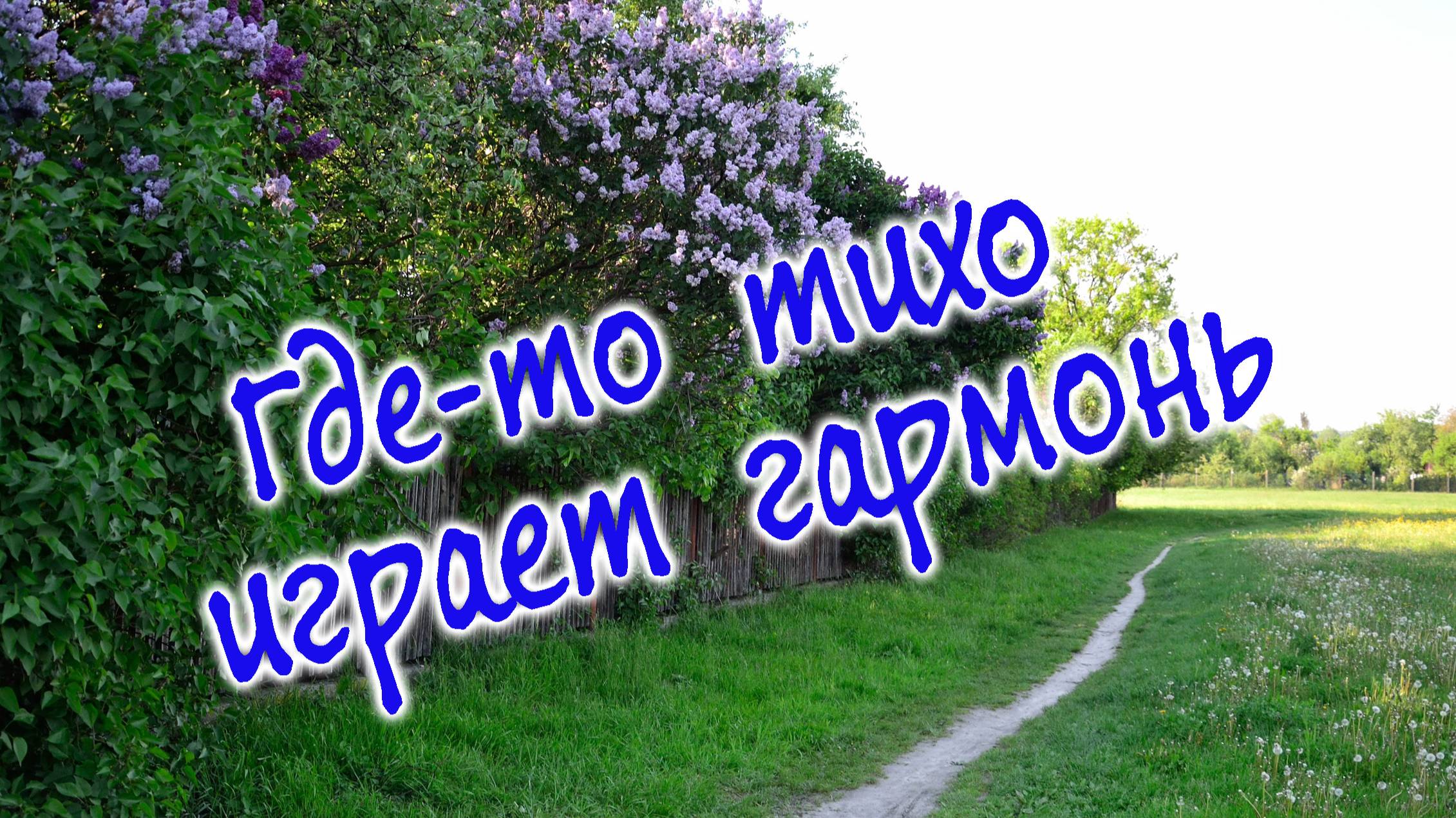 Где-то тихо играет гармонь. Лирическая песня о потерянной любви.