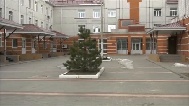 КОРЬ ЗАХВАТЫВАЕТ ВОРОНЕЖ ? ОТВЕЧАЕМ. смотреть онлайн