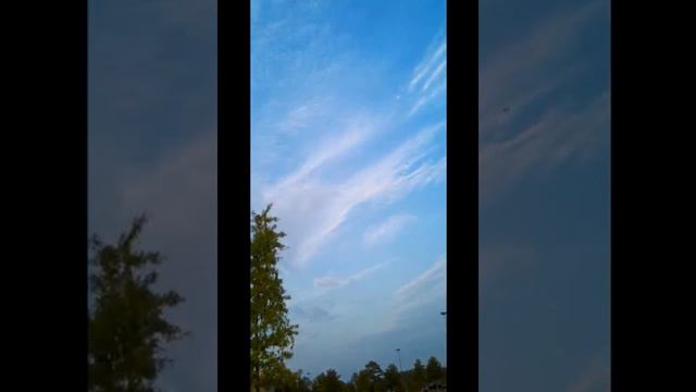 RC Airplane Starmax F-35 Blue Angel Flight and Crash into a tree смотреть онлайн