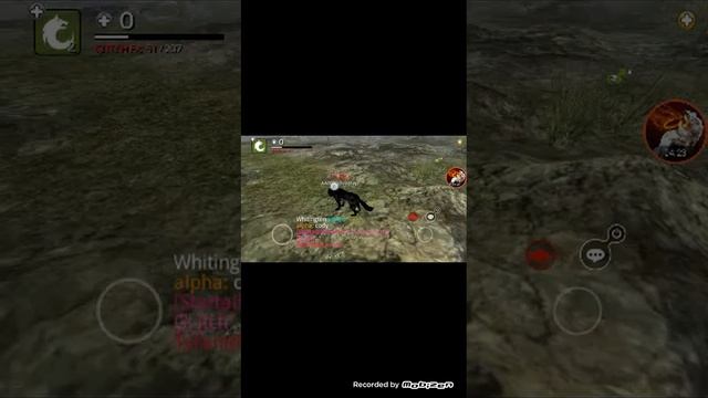 How to combine 1.4.0 with 1.4.1 mods for wolf online смотреть онлайн