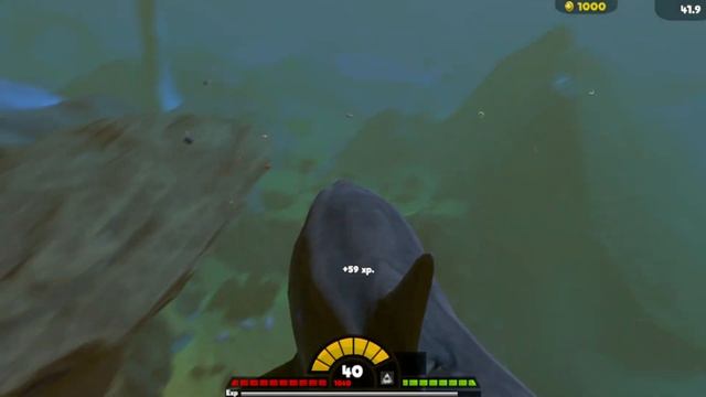 Feed & Grow Fish Mako Shark AND Muskullenge Vs Megalodon смотреть онлайн