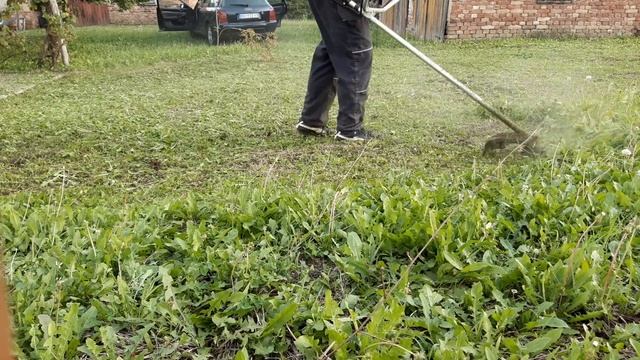 STIHL FS 55 ❤ zagrevanje 😉 смотреть онлайн