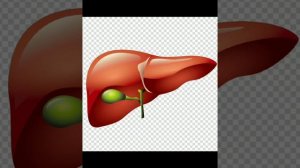 Окружающий мир 3 класс.Пищеварительная система.Здоровое питание.