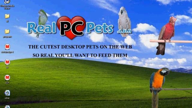 Real Pc Pets смотреть онлайн